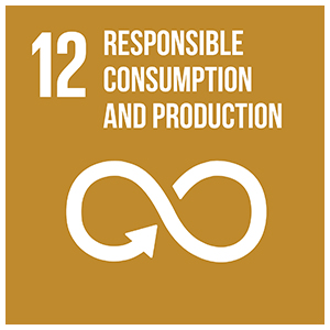 12-Responsible-consumption-and-production
