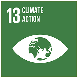 13_Climate_action
