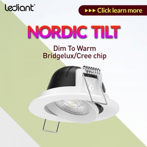 New CRI 95 Dim to warm changeable 7W LED Downlight