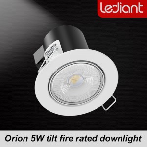 Orion 5w Tilt Fire Rated Downlight
